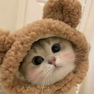 Benzo <3